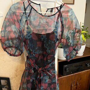 Zara Organza Mini Dress